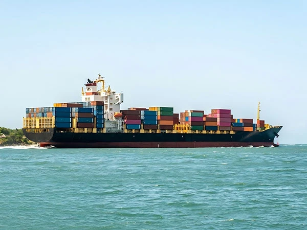 Ddp Sea Shipping From China To Vietnam FBA