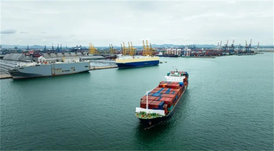 Sea Freight Forwarder DDP China To Southeast Asia factory
